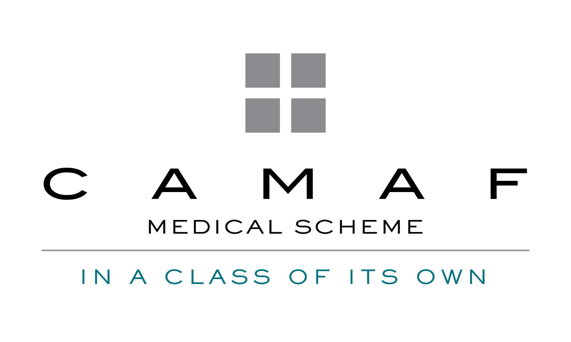 CAMAF logo
